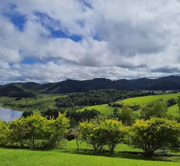 sitio para casamento